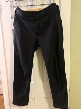 The North Face Men’s active or travel casual pants size 34